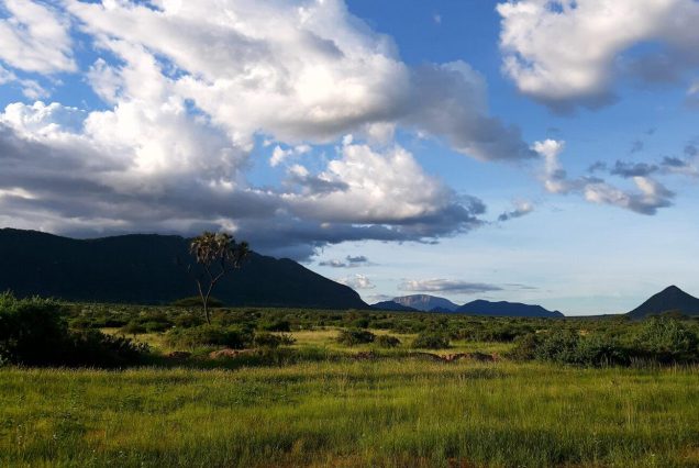 9 DAYS PROMOTIONAL HIGHLIGHTS OF KENYA & TANZANIA SAFARI EXPERIENCE