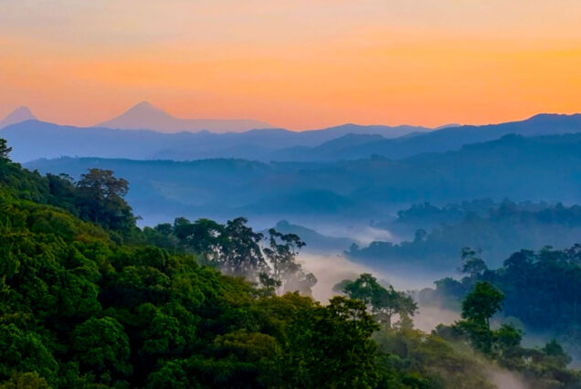 2 days Gishwati-Mukura National park Safari..